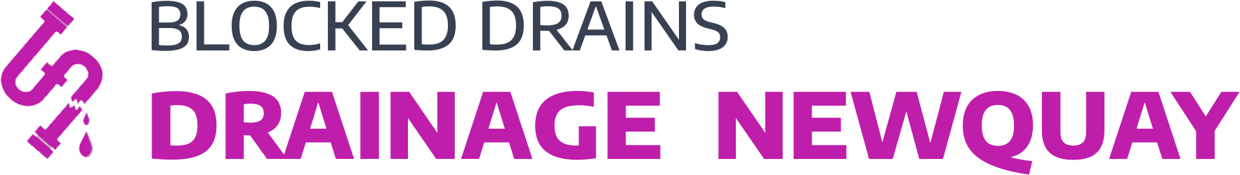website logo